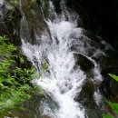 가리왕산목장 이미지