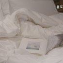 봉포산들바람