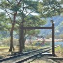 문경 오미자테마터널 이미지