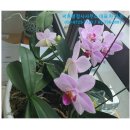 써브 행정사 사무소 이미지