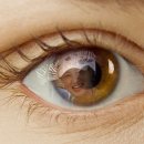 돈암초등학교 이미지