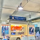 팀스카이 | 코즈믹커피차 <고양 소노 스카이거너스>팀 이정현선수님 커피차 서포트 후기