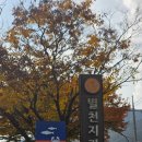 별천지 | 메기참게탕이 맛있는 별천지가든 다녀온 후기(곡성맛집, 섬진강뷰맛집)