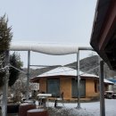 황토사랑 나무야 이미지