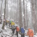 대만 설산 산행 보고서 이미지