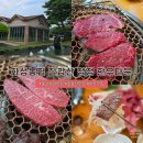 칠갑산청정한우타운 | [충남 청양 맛집] 화성농협 칠갑산 청정 한우타운 – 출렁다리·자연휴양림 여행 후 들르기 좋은 소고기...