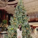 호텔델라고 | 그랜드 머큐어 임피리얼 팰리스 호텔 크리스마스트리 명소 카페 델마르 포토존 애프터눈티 디저트 추천