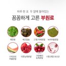 민언니 | [다이어트 보조제 추천] 에그민언니의 다이어트보조제 “번앤번 솔직후기”
