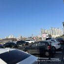 다이소김포 | 다이소 봄신상 추천 | 김포구래2호점 오픈 방문후기