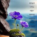 반갑습니다~ 이미지