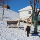 연계목장 이미지