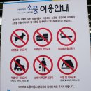 소풍게임랜드 | 광주 근교 나들이 시간 순삭이었던 화순 소풍테마파크