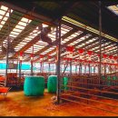 기종농장 이미지