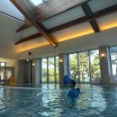 경포파인 이미지