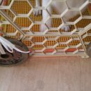 애자농장 이미지