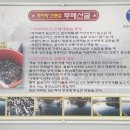 두메산골추어탕 이미지