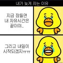 기요미아동복 | Aug