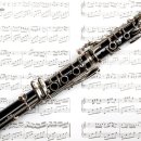 클라리넷 집중레슨 이미지