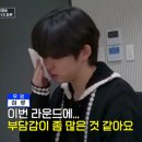서*일 뉴스엔