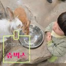 쾌적한 인천실내동물원 쥬벅스, 4살 아기랑 다녀온 찐 후기!