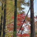 한국폴리텍 IV 대학 홍성캠퍼스 이미지