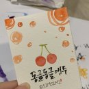 일러스트 캘리그라피 이미지