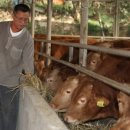 백자골농원 이미지