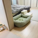 사계절컴퓨터세탁 | 강아지 방석 아르르 꿀잠방석 ㅡ 제티가 사용하는 발열침대 내돈내산 후기