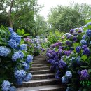 삼도농장 이미지