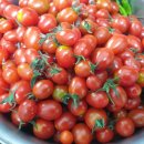 토마토헤어샾 - 금산군 | 토마토헤어샾