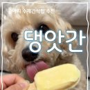 댕스돌 | [강아지 수제간식] 강아지 여름철 간식 - 댕앗간 아이스크림, 댕스크림 추천 후기!!