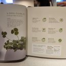 엘앤씨(LNC) 이미지