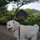 충주농약마트 네이버블로그