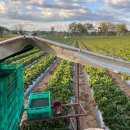 임금농장 이미지