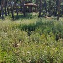 석구농장 이미지