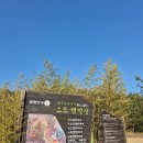 금성면 | 금성면 캠핑 몰랐던 숨은 명소 — 담양 금성산성 오토캠핑장 찐후기