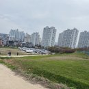 울산 동구 슬도 유채꽃 유채찬란 페스티벌 주차 후기