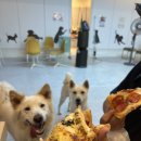 댕댕휴개소 이미지