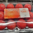 조양약국 이미지