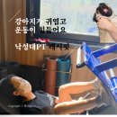 PURE GYM | 서울대pt 낙성대피티 저렴한 곳 레시핏 솔직 후기