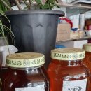 부연민박휴양촌 이미지