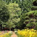 황등면-03 이미지