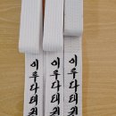 용인대독수리태권도 이미지