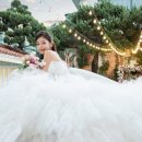 💍 한 달 만에 완성한 나의 결혼식, 가성비 웨딩플래너 쩡리나님 덕분이에요｜웨딩숲 후기