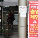 양재족발
