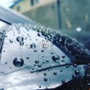 모터쿠마 이미지