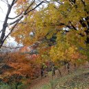 (주)히지노 이미지