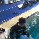 팀옥토퍼스