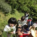 해보어린이집 이미지