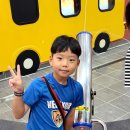 새일태권도 이미지